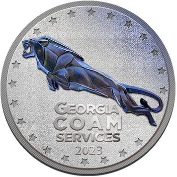 Silver Coin2 1